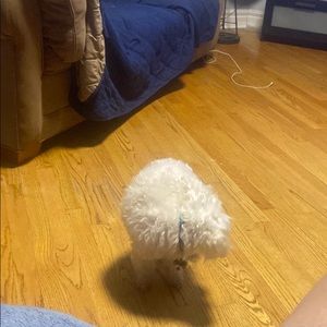 Meet your Posher, Tyluh